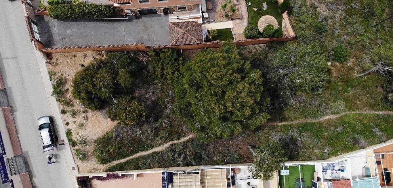 House in Orihuela - Image 2