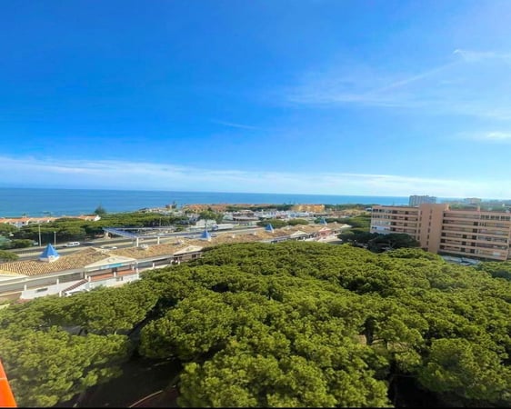 Apartment in Calahonda - view 1