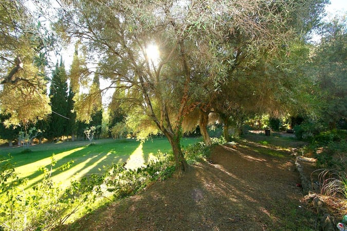 Land in Mijas Costa - view 1