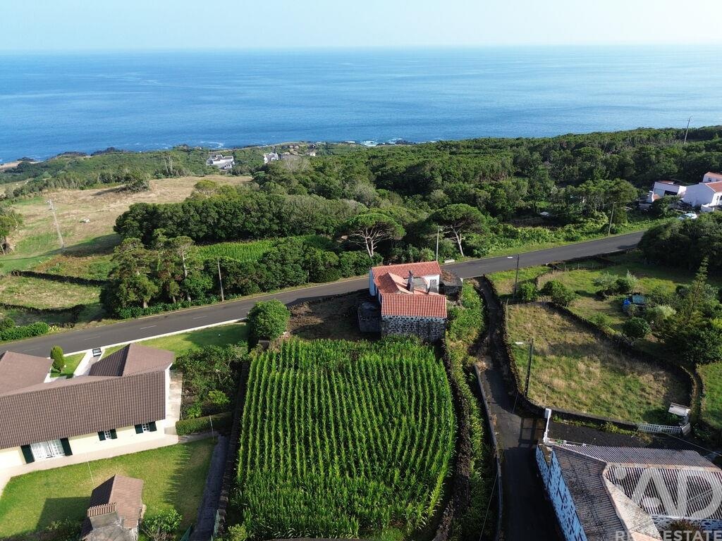 House in Ribeiras - Image 2