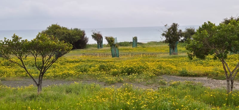 House in Pyla - view 1