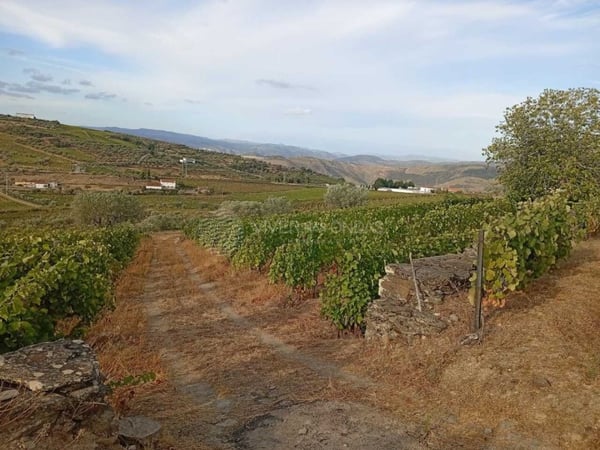 House in Barcos - view 1