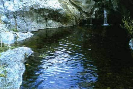 Apartment in Estepona - view 1