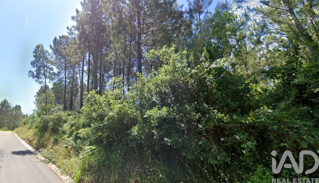 Land in Maceira - Image 2