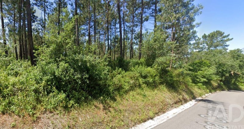 Land in Maceira - view 1