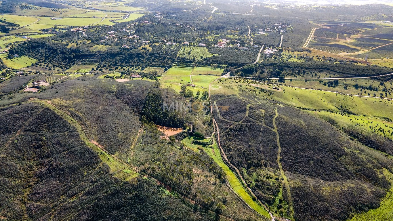House in Colinas Verdes - Image 3