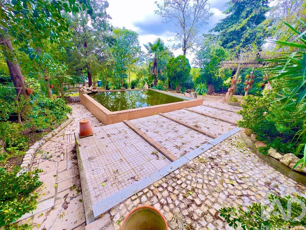 Land in Vila Verde de Ficalho - Image 2