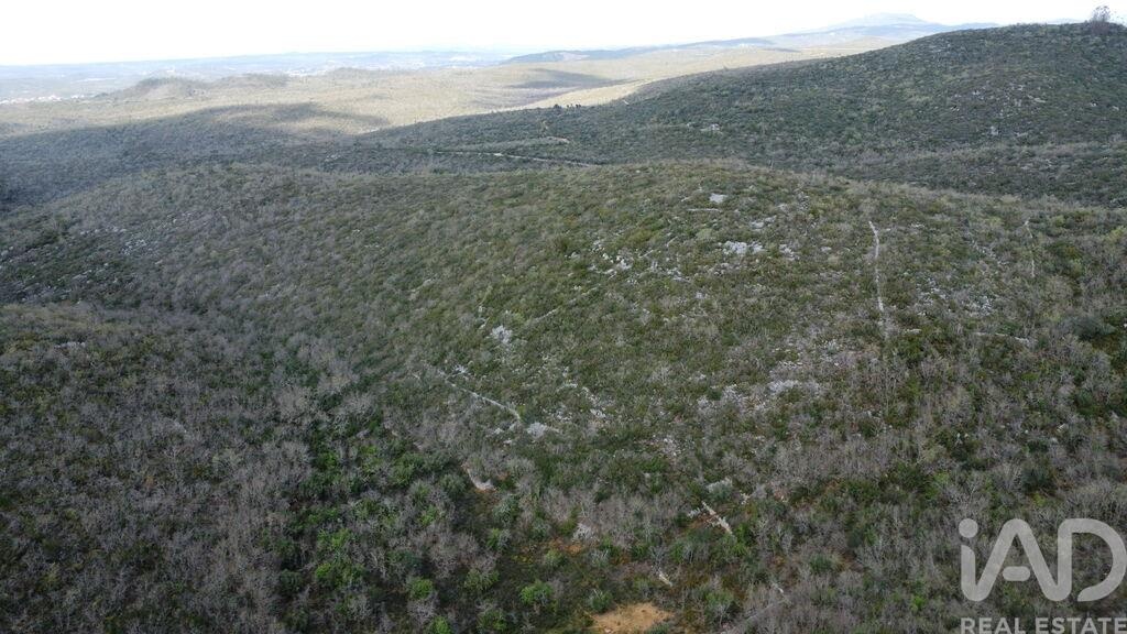 Land in Chaos - Image 2