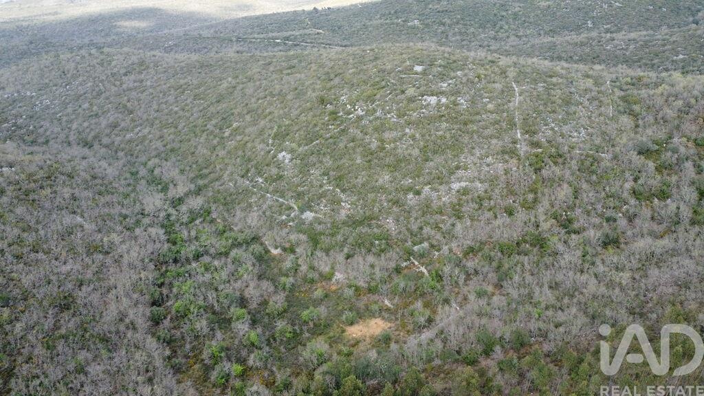 Land in Chaos - Image 3