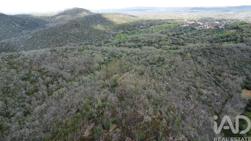 Land in Chaos - view 1