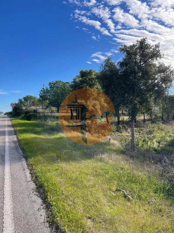 Land in Castro Marim - Image 3