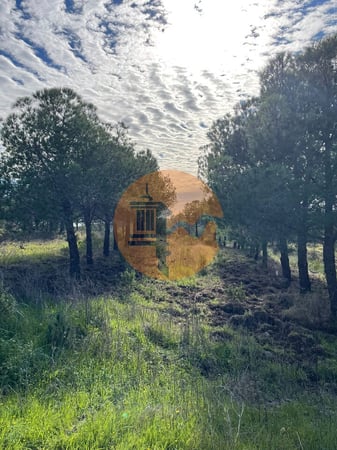 Land in Castro Marim - view 1