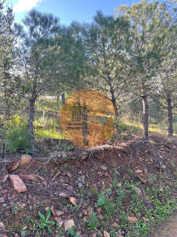 Land in Castro Marim