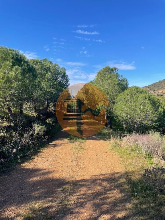 Land in Castro Marim - Image 3