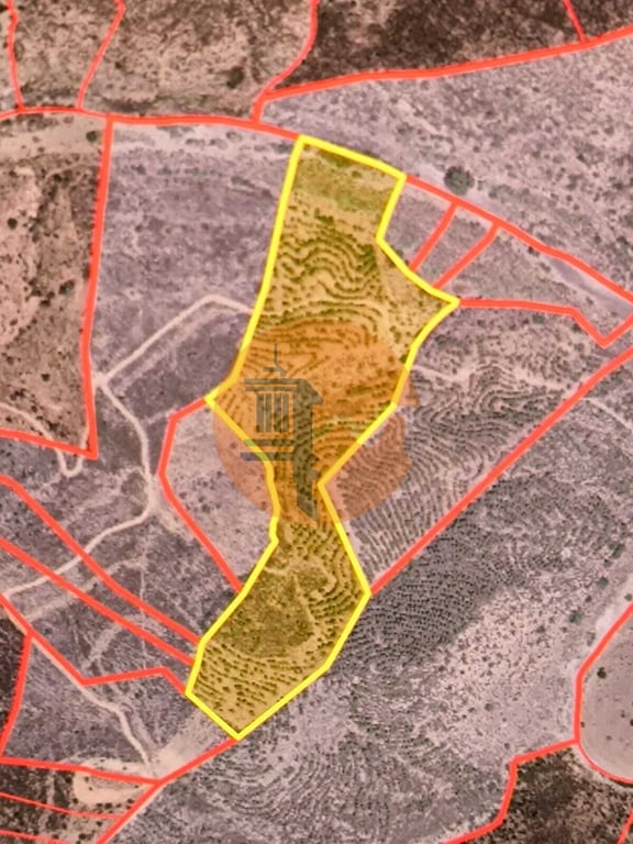 Land in Castro Marim - Image 2