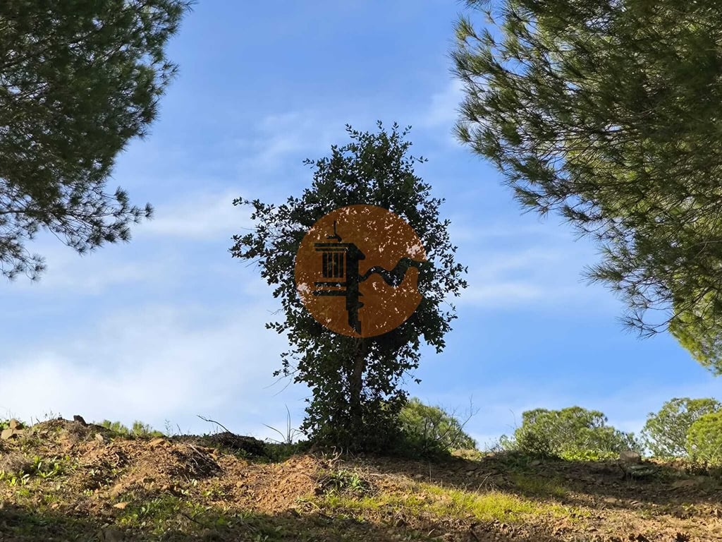 Land in Castro Marim