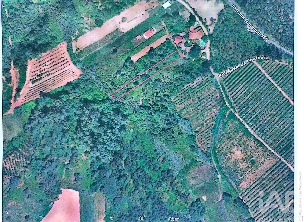 Land in Carvalhal Benfeito