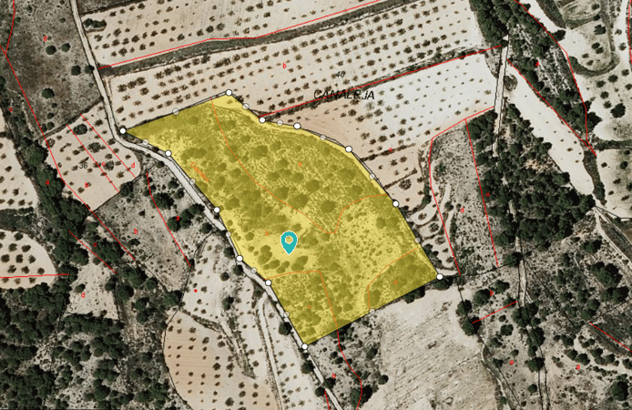Land in Casas del Senor - view 1