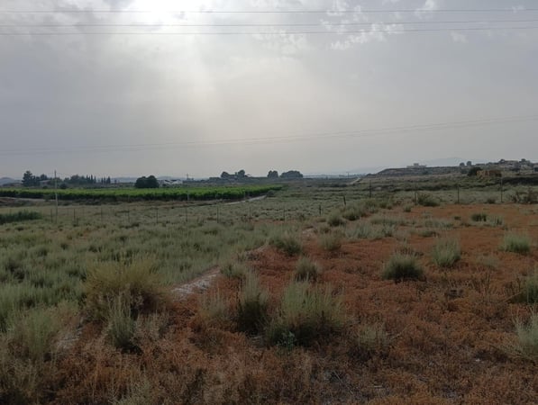 Land in Las Torres de Cotillas - view 1