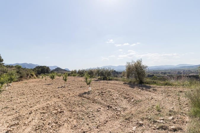 Land in Murcia - view 1