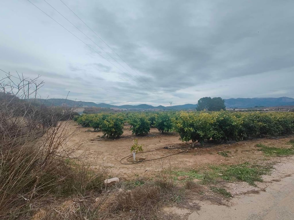 Land in Murcia - Image 3