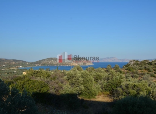 House in Achladitsa - Image 2