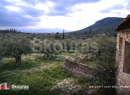 House in Agrilos - view 1