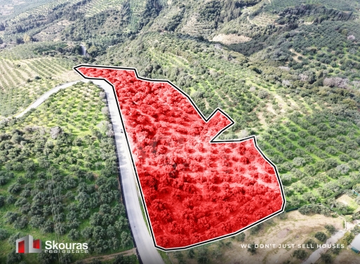 Land in Balodhimaiika - view 1