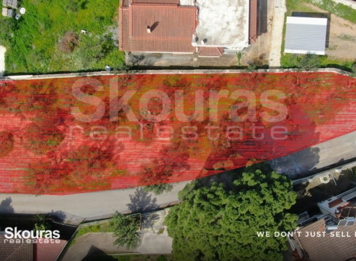 Land in Sperchogeia - view 1