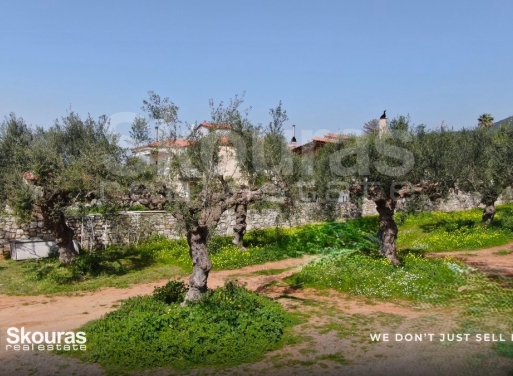 Land in Sperchogeia - view 1