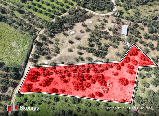 Land in Kyparissia - view 1