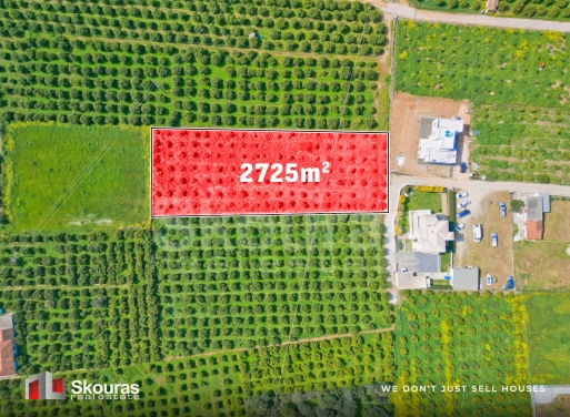 Land in Nea Tiryntha - view 1