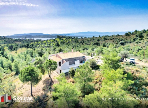 House in Porto Cheli - view 1