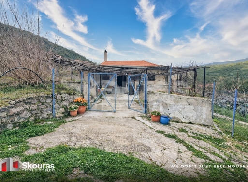 House in Poliani - view 1