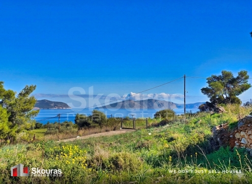 House in Porto Cheli - view 1