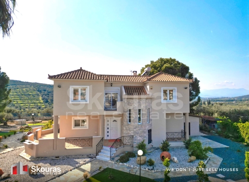 House in Piryiotika - view 1