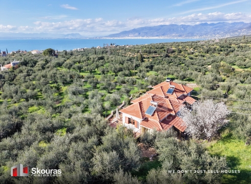 House in Avia - view 1