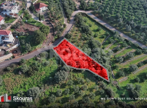 Land in Gargalianoi - view 1