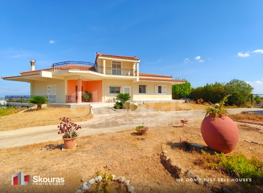 House in Examilia - view 1