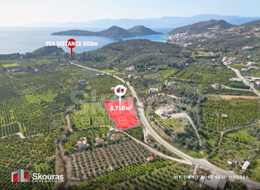 Land in Tolon - view 1