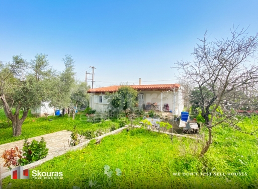 House in Agioi Apostoloi - view 1