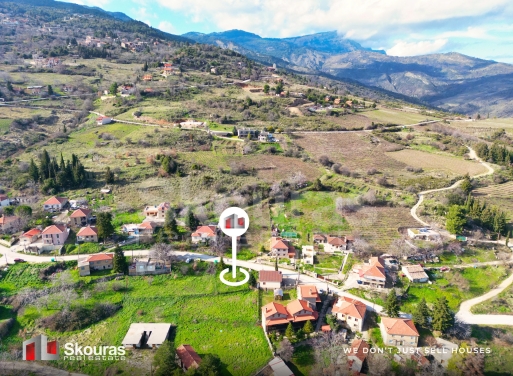 Land in Kato Sinoikia Trikalon - view 1