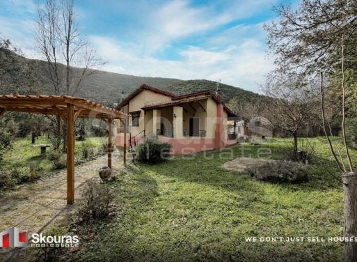 House in Poliani - view 1