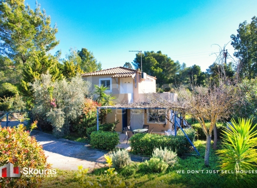 House in Chinitsa - view 1