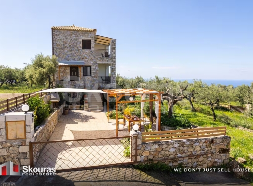 House in Proastio - view 1