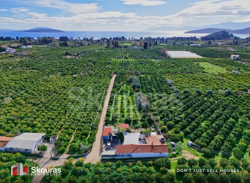 House in Asini - view 1