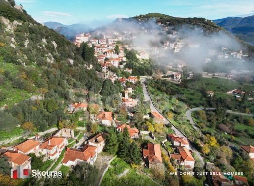 Land in Karitaina - view 1