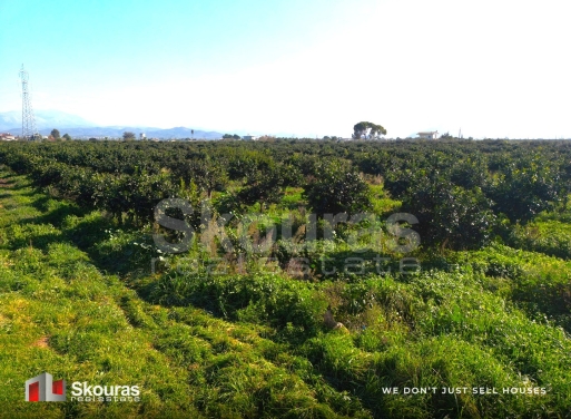 Land in Piryella - view 1