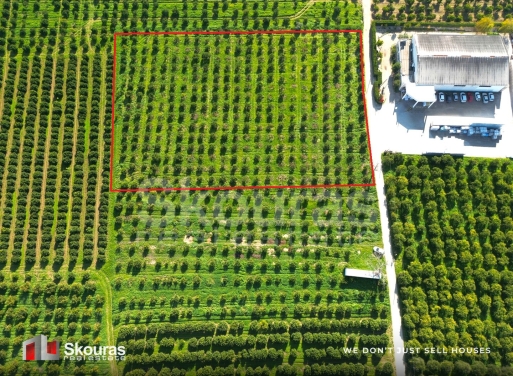 Land in Piryella - view 1