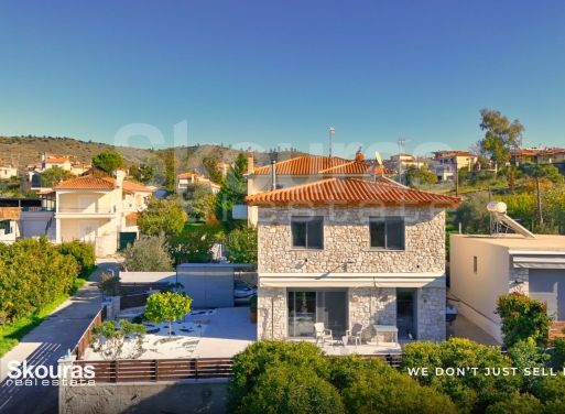 House in Lefkakia - view 1